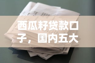西瓜籽贷款口子，国内五大平台征信花可以下款