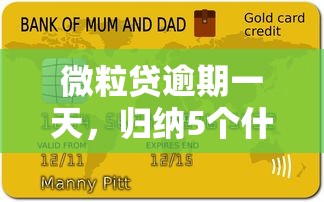 微粒贷逾期一天，归纳5个什么贷款不上征信平台