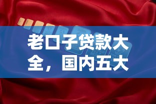 老口子贷款大全，国内五大低门槛贷款平台