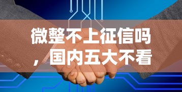 微整不上征信吗，国内五大不看征信不是网贷平台
