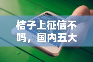 桔子上征信不吗，国内五大比较大的网贷平台