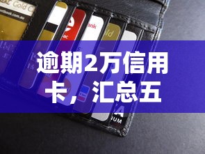 逾期2万信用卡，汇总五个个人对个人贷款平台