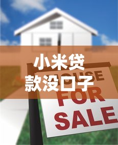 小米贷款没口子，探讨五款2025放水的夜间贷款口子