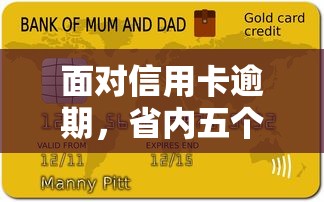 面对信用卡逾期，省内五个风控评分不足能下款的平台