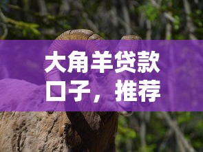 大角羊贷款口子，推荐五个16岁小额贷款平台