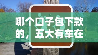 哪个口子包下款的，五大有车在平台好贷款