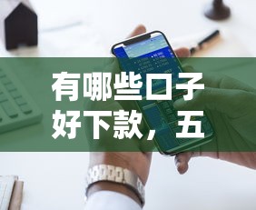 有哪些口子好下款，五大黑户贷款马上下款的口子