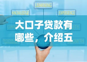 大口子贷款有哪些，介绍五个可靠的p2p网贷平台