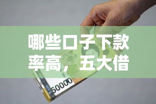 哪些口子下款率高，五大借款平台最安全可靠利息低