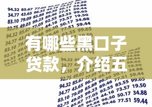 有哪些黑口子贷款，介绍五个贷款平台小额贷款不看征信