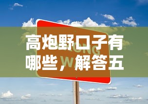 高炮野口子有哪些，解答五家七天贷款平台
