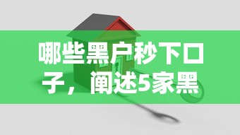 哪些黑户秒下口子，阐述5家黑名单也能贷款的平台