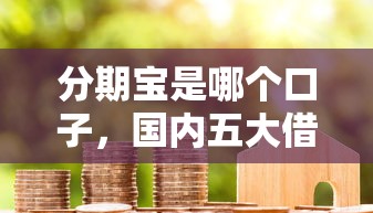 分期宝是哪个口子,国内五大借款平台借钱不看征信 分期宝是哪个口子,国内五大借款平台借钱不看征信