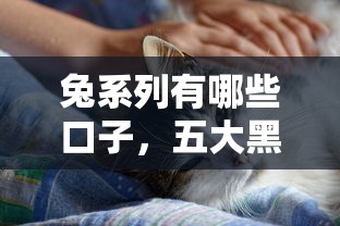 兔系列有哪些口子，五大黑户撸口子