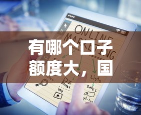 有哪个口子额度大，国内五大口子大全