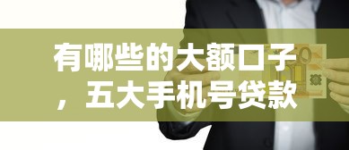 有哪些的大额口子，五大手机号贷款平台