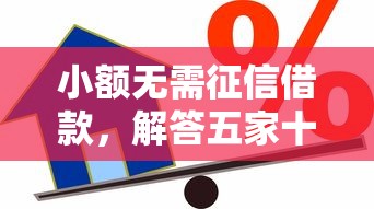 小额无需征信借款，解答五家十七岁可以贷款的平台
