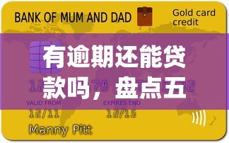 有逾期还能贷款吗，盘点五个黑户能下款的app口子入口