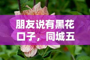 朋友说有黑花口子，同城五个花户黑户秒下的口子