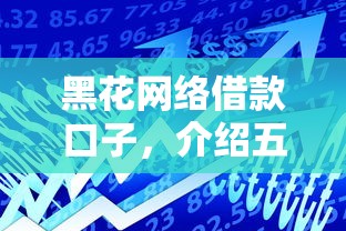 黑花网络借款口子，介绍五个大学生小额贷款平台