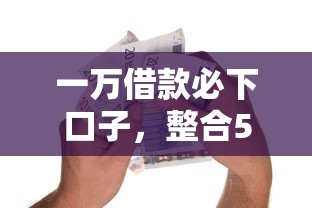 一万借款必下口子，整合5个年纪65能贷款的平台