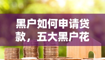 黑户如何申请贷款，五大黑户花户借款必下口子2025
