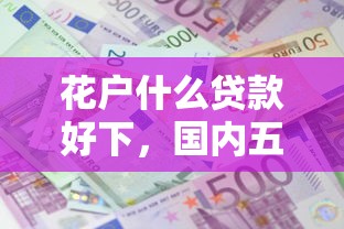 花户什么贷款好下，国内五大好下款借款平台