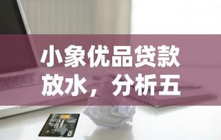 小象优品贷款放水，分析五个黑户平台最容易借到钱