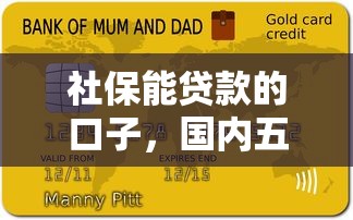 社保能贷款的口子，国内五大微博专享借钱平台
