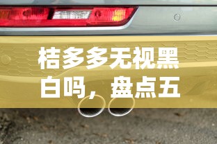 桔多多无视黑白吗，盘点五个有车贷款平台