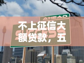 不上征信大额贷款，五大长期贷款平台