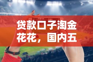 贷款口子淘金花花，国内五大手机平台贷款