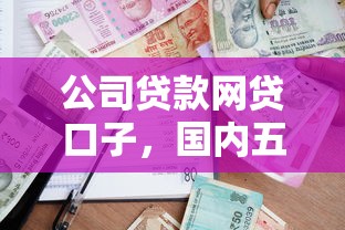 公司贷款网贷口子，国内五大什么借款平台最好借款通过