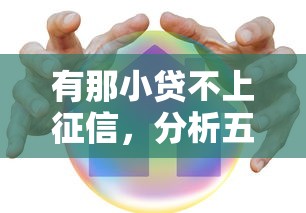 有那小贷不上征信，分析五个安全小额贷款平台