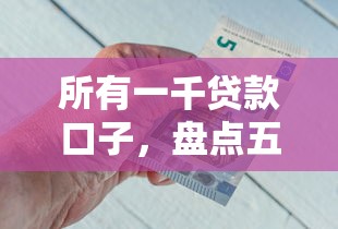 所有一千贷款口子，盘点五个2020年12月好下款的口子