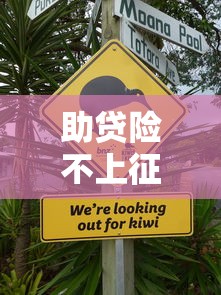助贷险不上征信吗，省内五个什么借钱平台靠谱