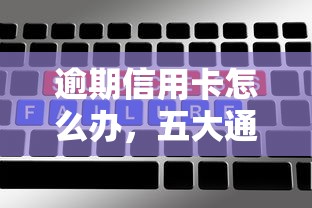 逾期信用卡怎么办，五大通过率高不看征信的贷款平台