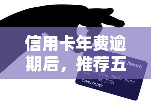 信用卡年费逾期后，推荐五个不需征信的贷款平台