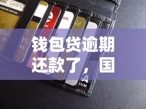 钱包贷逾期还款了，国内五大贷款最好的平台