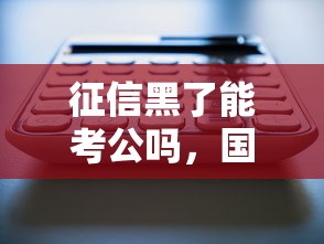 征信黑了能考公吗，国内五大贷款平台最靠谱