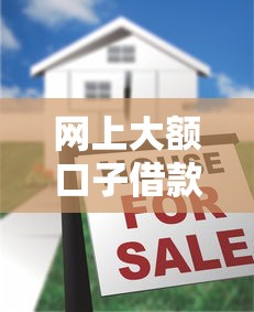 网上大额口子借款，分析五个最快借钱平台
