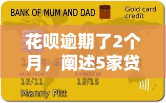 花呗逾期了2个月，阐述5家贷款下款快的平台