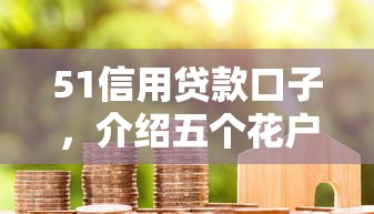 51信用贷款口子，介绍五个花户能下款的平台