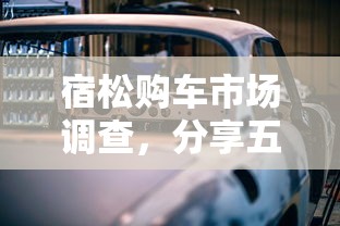 宿松购车市场调查，分享五个现在还能贷款的平台