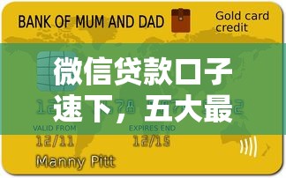 微信贷款口子速下，五大最快的贷款平台
