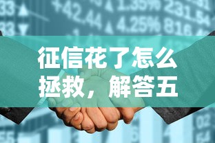 征信花了怎么拯救，解答五家网贷平台投诉
