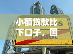 小额贷款比下口子，国内五大黑户放贷的口子