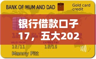 银行借款口子17，五大2025黑花户借款平台