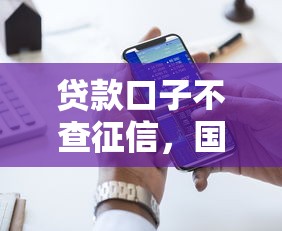 贷款口子不查征信，国内五大分期贷款平台好下款