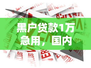 黑户贷款1万急用，国内五大能下款的借款平台2025